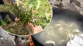 Grandpa's shepherd's purse dumplings