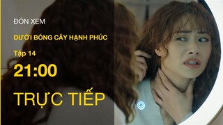 TRỰC TIẾP VTV1 | TẬP 14: Dưới Bóng Cây Hạnh Phúc