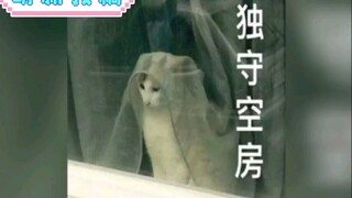 每个月6w生活费但是见不到老公，你能接受吗