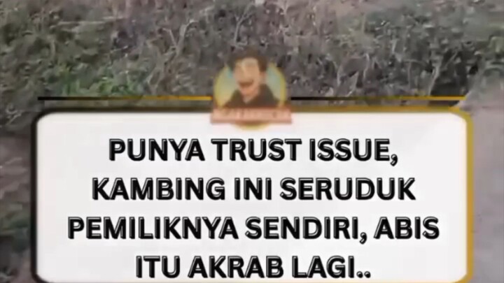 punya masalah pribadi kambingnya wkwkwkwkwk #funny #komedi