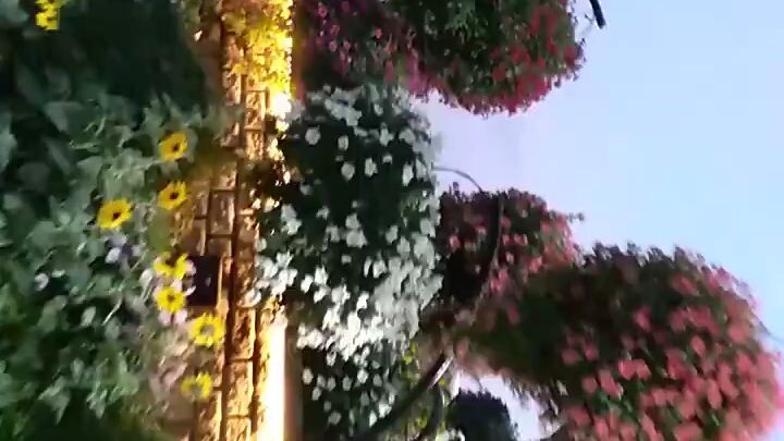 medical garden