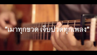 เมาทุกขวด เจ็บปวดทุกเพลง - ดูโอเมย์ Fingerstyle Guitar Cover (TAB)