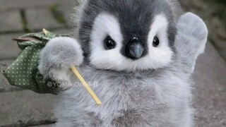 Mencari! Seekor penguin kecil yang kabur dari rumah!