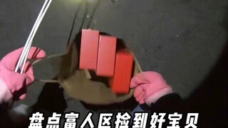 盘点在富人区里翻垃圾桶的刺激场面 #垃圾堆寻宝 #捡垃圾