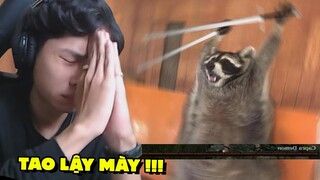 3 năm sống cuộc sống của GẤU MÈO sẽ ntn !!! (Wanted Raccoon) ✔