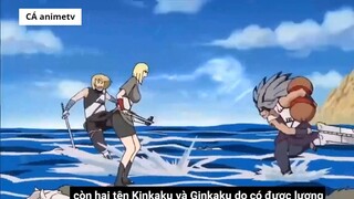 Top 10 Trái Ác Quỷ mang sức mạnh của Thần __5