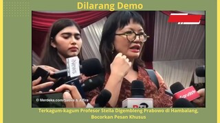 Profesor Stella  Bocorkan Pesan Khusus