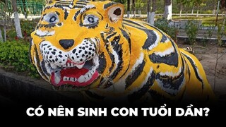Tranh cãi nảy lửa trên mạng xã hội về việc sinh con tuổi Dần