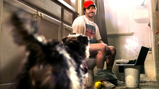 The Fetch & F Game Scene | Strays | CLIP
