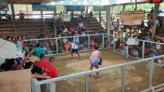 CHAMPION AT CABAY EASTERN SAMAR