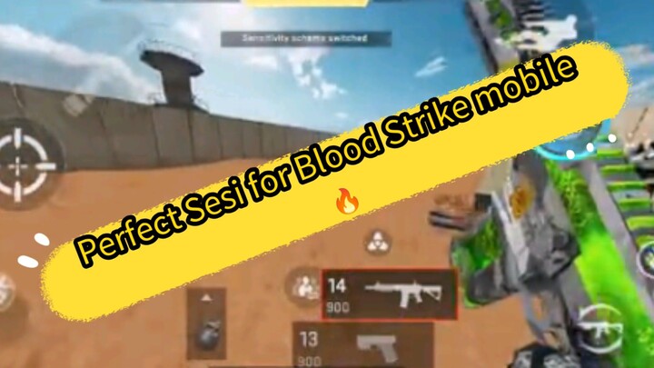 Perfect Sesi for Blood Strike mobile 🔥