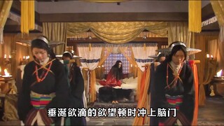 一个声势显赫的藏族土司 小小官寨花万种，主人日日对花眠