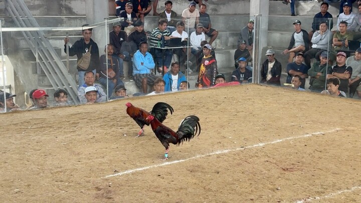 2 Hits Ulutan @Double D Cockpit - WW🏆