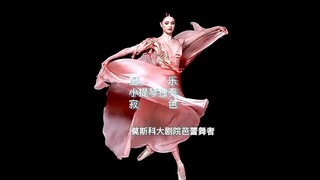 莫斯科大剧院芭蕾舞者