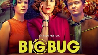 Big Bug