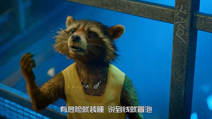 Yang paling jago omong kosong sejagat raya pastilah Rocket Raccoon.