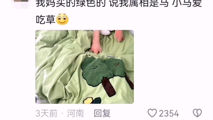 Hilarious! How Funny Can Your Bedding Be When School Starts?