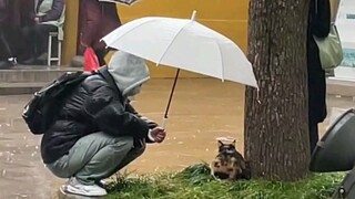 Ini si kecilku yang lucu!