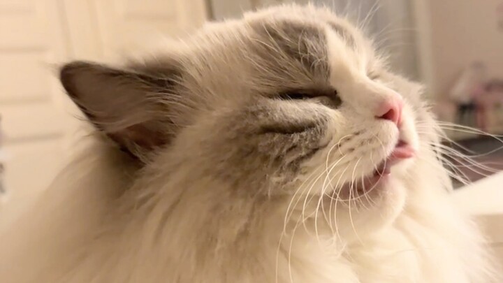 The Magical Switch of Fu Zhuzhu