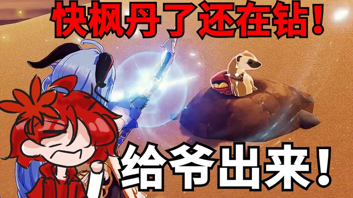 Goodbye, all your Sumeru daily life!