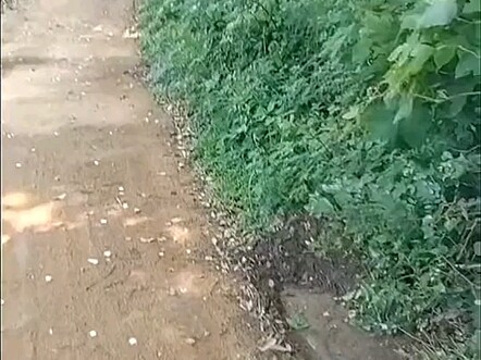 So the road is actually this wide!