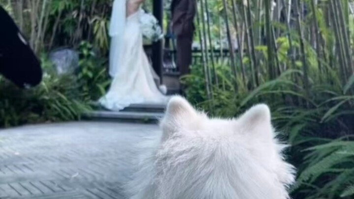 ลูกที่เลี้ยงดูมาด้วยมือของตัวเอง จะไม่ใช่คนในครอบครัวได้อย่างไร