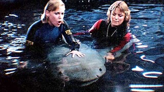 How to capture a killer shark | Jaws 3-D | CLIP