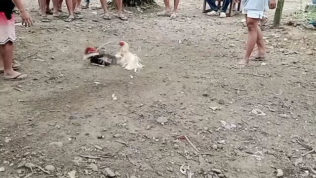 Kakarating lang laban agad ang pula