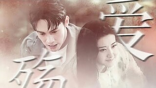 【FMV】Tư Đằng - Tần Phóng【 司藤 - 秦放】Cảnh Điềm - Trương Bân Bân【景甜 - 张彬彬】Ái Thương