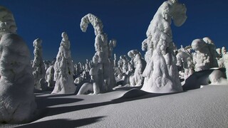 [Tập 3 - Thuyết Minh] Earths Seasonal Secrets S01E03: Winter