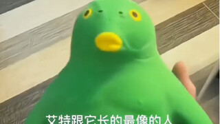 哇塞这个绿头鱼真的好丑阿 但它真的好解压哈哈哈