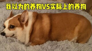 What I thought of raising a dog VS what it actually is
