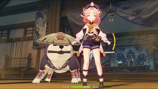 Diona Solo Black Shadow (kitty vs doggo)