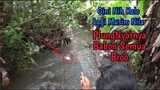Senengnya Mancing Ikan Nila Babon di Selokan Ini || PLUNG NYOTNYA BABON BROO!!
