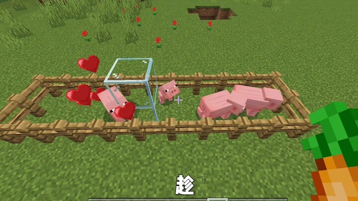 الخنزير: ؟؟؟