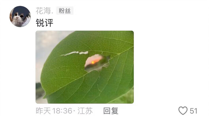 评论区摄影作品锐评，博主播放量最高的一期，全网超过一千万人看过的摄影作品究竟有什么特别的？
