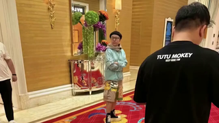 ظهرت خنفساء السلحفاة في قصر وينلي بمكاو، وجعلت تعليقات المستخدمين الإنترنت ينفجر من الضحك