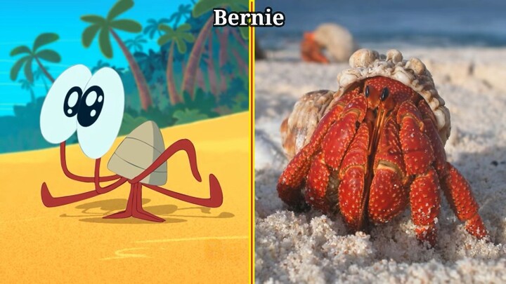 Zig and Sharko In real Life All Characters