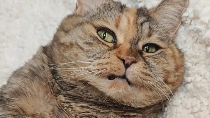 Did you come to tell me it’s time to eat?