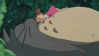 【My Neighbor Totoro MAD】The World is Filled with Wonderful Things