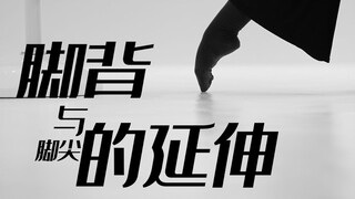 招儿丨脚背与脚尖的延伸