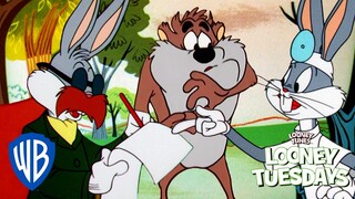 Looney Tuesdays | Bugs Bunny and Taz's Adventures | Looney Tunes | @wbkids