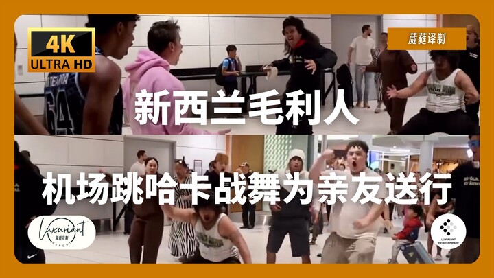 新西兰机场突然爆发哈卡战舞，现场氛围炸裂！