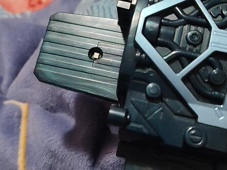 入手两个半月的饱藏们的现状