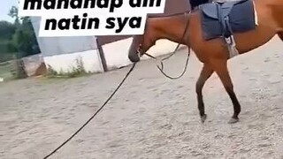 Funny videos #Bilibili #HappyLang