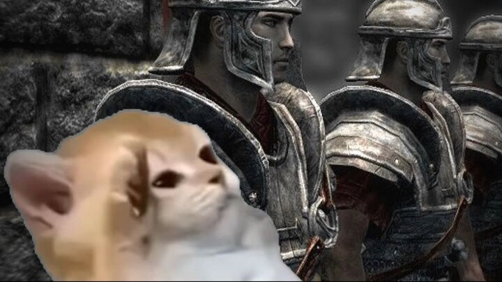 POV: You’re a Khajiit in the Imperial Legion #skyrim #memes