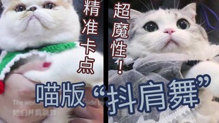 最萌【抖肩舞】！每天亿遍，跟着舞蹈，根本停不下来！