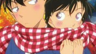 pasangan yang ada di detective conan