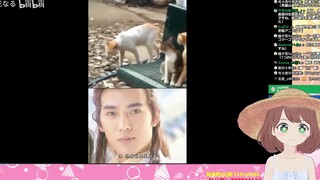 日本妖精看《猫咪当面NTR合集》
