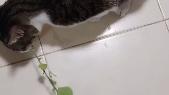 วันว่างๆ